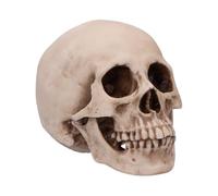 Nemesis Now Replica del teschio umano in resina, 16 cm, con colorazione realistica delle ossa, sottili effetti di invecchiamento e agenti atmosferici, statua anatomicamente dettagliata per decorazioni