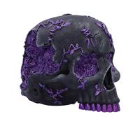Nemesis Now Rose Geode Skull