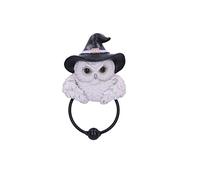 Nemesis Now Snowy Magic - Battente per Porta, 21 cm, Colore: Bianco
