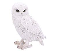Nemesis Now Snowy Orologio Grande 20cm, Resina, Bianco, Taglia Unica
