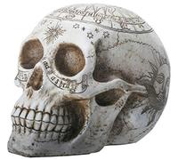 Nemesis Now - Statuetta decorativa a forma di teschio astrologico, 29 cm, colore