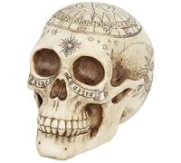Nemesis Now - Statuetta decorativa a forma di teschio astrologico, 29 cm, colore: Avorio