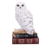 Nemesis Now Statuetta della Biblioteca della saggezza, 17 cm, in resina, bianca, gufo bianco su libri, ornamento per libri fantasy, espositore per libri, colata nella migliore resina, sapientemente