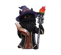Nemesis Now Statuetta Albus – gatto mago con libro, torcia, resina dipinta a mano