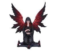 Nemesis Now The Foreseer Gothic Dark Angel - Statuetta in resina, 23 cm, colore: