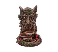 Nemesis Now Wisest Dryad Tree Spirit Green Man - Bruciatore di incenso, in poliresina, marrone, taglia unica