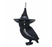 Nemesis Ora Owlocen Strega Saggio Occulto Sacro Gufo Fortuna da Parete Ornamento