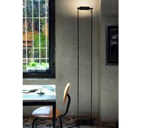 Nemo Logo Lampada da Terra - Promo