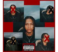 Nemzzz - DO NOT DISTURB (RSD2025)