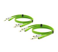 Neo by Oyaide d+ RCA Giradischi Duo (classe B) Cavo audio durevole per DJ, musicisti e produttori