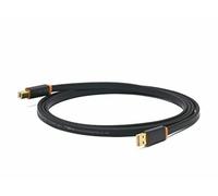 NEO Di OYAIDE Elec D+ Cavo USB Classe A Rev2 2.0m Per Note PC NUOVO Dal Giappone