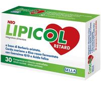 Neo Lipicol Retard Compresse 28,5 g Compresse