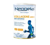 NEOGELA POLVERE 400GR ZETA 92