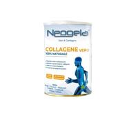 NEOGELA POLVERE 400G
