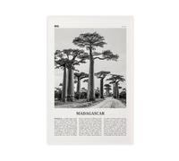 NEOHI Stampa artistica da parete moderna su tela con mappa del Madagascar in bianco e nero, Antananarivo, Africa, stile retrò, con mappa della città, per soggiorno e camera da letto, 40 x 60 cm