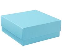 Neolab 2 2672 Kryo Economy Storage box, 133 x 133 x 50 mm Blue