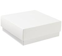 neolab 2 - 2900 kryo scatola con coperchio, in cartone, altezza 50 mm, bianco