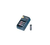 Neolab 2 - 3242 caricatore Speedy per batterie NiCd (Confezione da 1 pezzi)