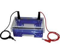 Neolab 7 0161 11 pettine tascabile Elektrophorese camera, capacità 20 Μl, 1,0 mm, 5 mm di larghezza