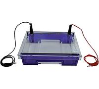 Neolab 7, pettine Elektrophorese camera, 14 scomparti, capacità 36 Μl, 1.0 mm, larghezza 9,0 mm
