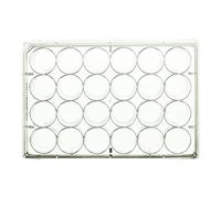 neoLab NeoCulture C-8208 - Pannelli in polistirolo, 24 ondulati, fondo piatto, sterile, confezione da 100