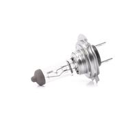 NEOLUX® N499-01B Lampadina, faro di profondità