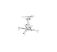 Neomounts CL25-530WH1 Supporto da soffitto per proiettore, bianco
