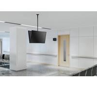 Neomounts FPMA-C340DBLACK Supporto a soffitto per doppio monitor/TV 32-75" - alt. 106-156 cm [FPMA-C340DBLACK] NEW