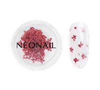 NEONAIL - Dried Flowers Unghie finte 1 pieces Bianco unisex