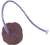 Neonatal Umbilical Cord and Placenta Anatomical Model for Healthcare applications Training - Realistic Veins and Arteries Display for Gynecology Education