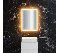 neoro n60 armadietto a specchio La: 60 cm con 2 ante, con illuminazione su tutto il perimetro, per la Svizzera, BN0499MI, n60 [Armadietti a Specchio > Armadietti a Specchio]