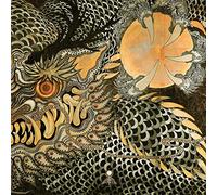 Neptunian Maximalism - Live at Roadburn 2021