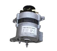 neratore ad alta potenza senza spazzole a magnete permanente CA, magnete permanente puleggia alternatore senza spazzole 800W1300W 2000W(800W)