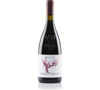 Nerello Cappuccio Terre Siciliane IGT Biologico 2022 - I Custodi delle Vigne dell'Etna