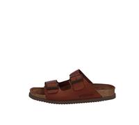 Nerio - Chestnut Scratch