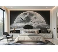 Nero Camera Luna Carta da Parati Murale 384x259cm Argento Spazio Cosmo Unisex