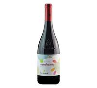Nero d'avola NICOSIA D.O.C. 2019 (1)