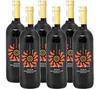 Nero D'Avola Sicilia Doc | Fonte Frontini | Vino Rosso Siciliano | 6 Bottiglie da 75 Cl | Idea Regalo