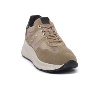 NERO GIARDINI 501 AROLD VELO sneakers moda Donna 38