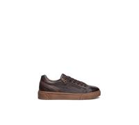 Nero Giardini I400411U Sneakers Uomo in Pelle E Camoscio - Testa di Moro 43 EU