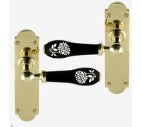 Nero porcelain Leva Maniglia Su Piastra Posteriore polished brass White Dahlia