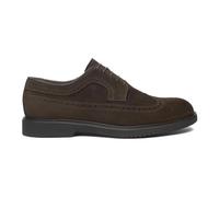 Nerogiardini - Derby Brogue - -Shoes -Uomo -Marrone -42 EU