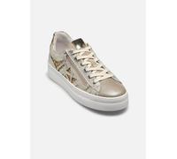 NeroGiardini - E513010D Oro e bronzo - Sneakers 40 Oro e bronzo