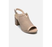 NERO GIARDINI 439 LUCKY CHAMPAGNE sandali Donna 37
