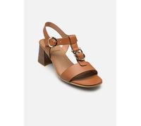 NeroGiardini - E615870D Marrone - Sandali e scarpe aperte 38 Marrone