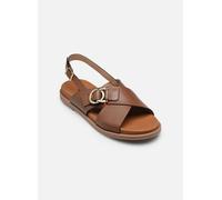 NeroGiardini - E615933D Marrone - Sandali e scarpe aperte 37 Marrone