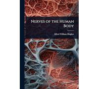 Nerves of the Human Body
