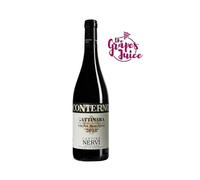 NERVI CONTERNO GATTINARA VIGNA MOLSINO 2018 VINO ROSSO DOCG PIEMONTE