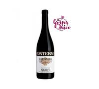 NERVI CONTERNO GATTINARA VIGNA MOLSINO 2019 VINO ROSSO DOCG PIEMONTE