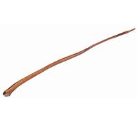 Nervo di Toro, Naturale, 70-80 cm, Massa